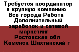 Требуется координатор в крупную компанию - Все города Работа » Дополнительный заработок и сетевой маркетинг   . Ростовская обл.,Каменск-Шахтинский г.